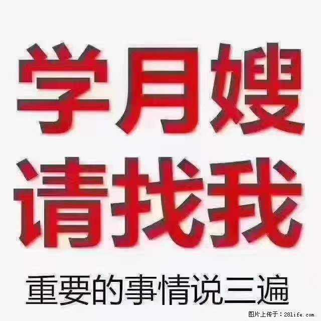 为什么要学习月嫂，育婴师？ - 其他广告 - 广告专区 - 吕梁分类信息 - 吕梁28生活网 lvliang.28life.net