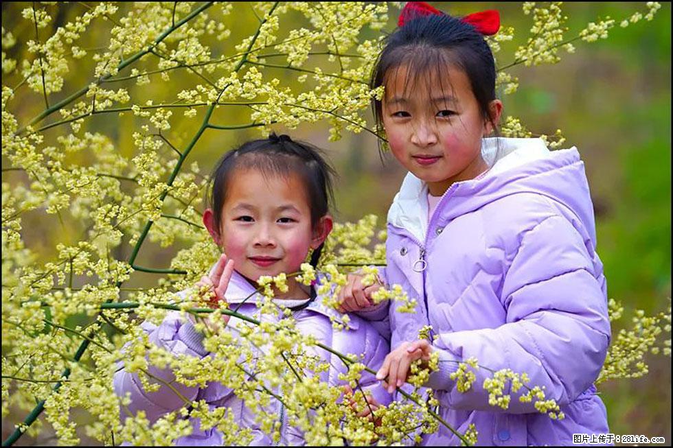 【春天，广西桂林灌阳县向您发出邀请！】米珠山前有片山苍子花在飘香 - 游山玩水 - 吕梁生活社区 - 吕梁28生活网 lvliang.28life.net