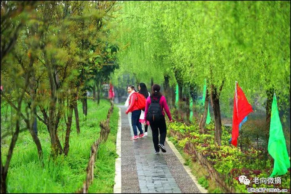 【春天，广西桂林灌阳县向您发出邀请！】江口老街又逢春 - 游山玩水 - 吕梁生活社区 - 吕梁28生活网 lvliang.28life.net