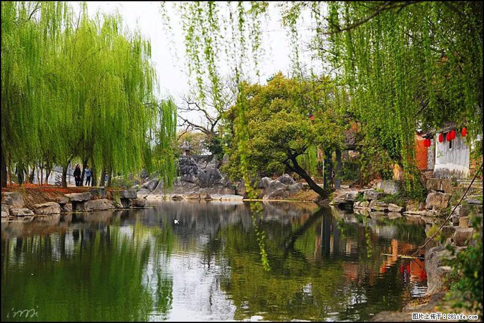 【春天，广西桂林灌阳县向您发出邀请！】江口老街又逢春 - 游山玩水 - 吕梁生活社区 - 吕梁28生活网 lvliang.28life.net
