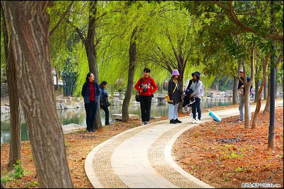 【春天，广西桂林灌阳县向您发出邀请！】江口老街又逢春 - 游山玩水 - 吕梁生活社区 - 吕梁28生活网 lvliang.28life.net