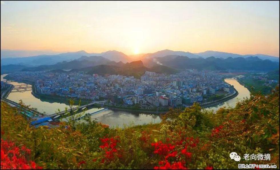 【春天，广西桂林灌阳县向您发出邀请！】登麒麟山，相约映山红 - 游山玩水 - 吕梁生活社区 - 吕梁28生活网 lvliang.28life.net