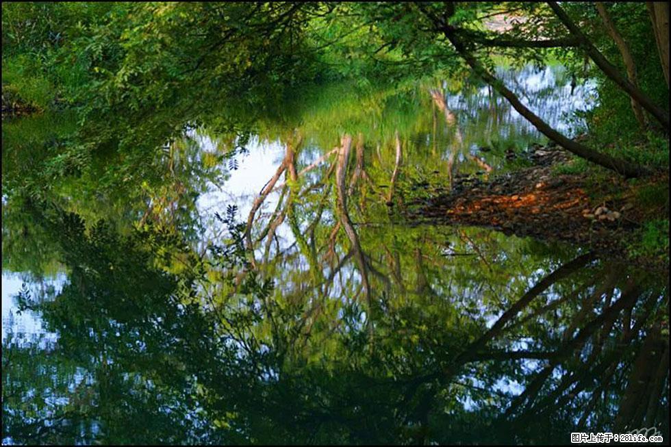 【春天，广西桂林灌阳县向您发出邀请！】熊家寨湿地公园 - 游山玩水 - 吕梁生活社区 - 吕梁28生活网 lvliang.28life.net