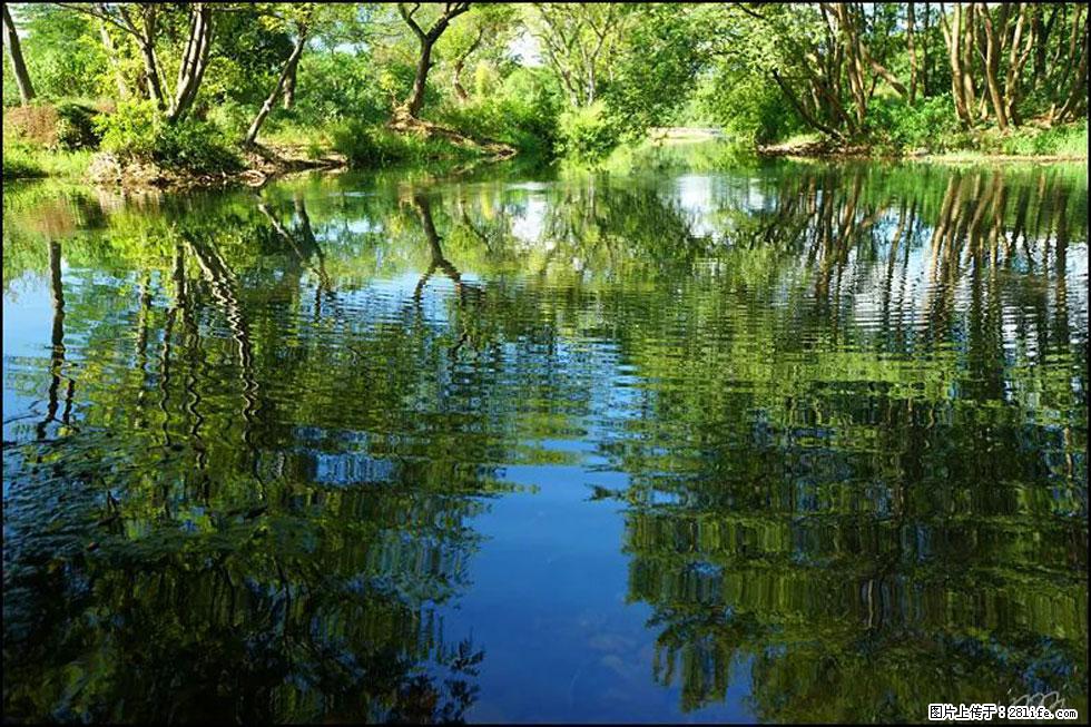 【春天，广西桂林灌阳县向您发出邀请！】熊家寨湿地公园 - 游山玩水 - 吕梁生活社区 - 吕梁28生活网 lvliang.28life.net