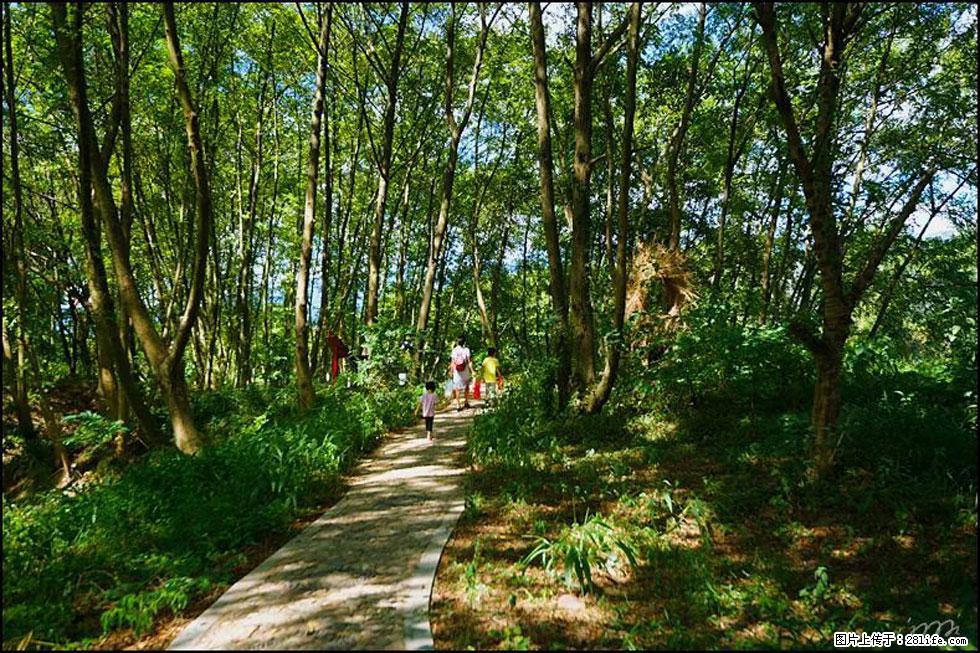 【春天，广西桂林灌阳县向您发出邀请！】熊家寨湿地公园 - 游山玩水 - 吕梁生活社区 - 吕梁28生活网 lvliang.28life.net