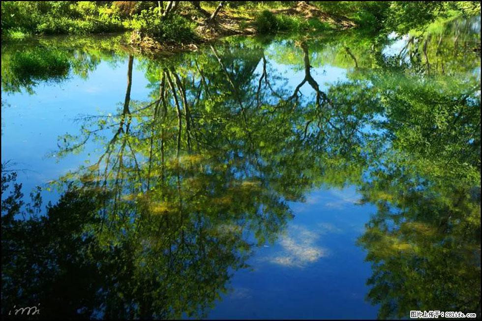 【春天，广西桂林灌阳县向您发出邀请！】熊家寨湿地公园 - 游山玩水 - 吕梁生活社区 - 吕梁28生活网 lvliang.28life.net