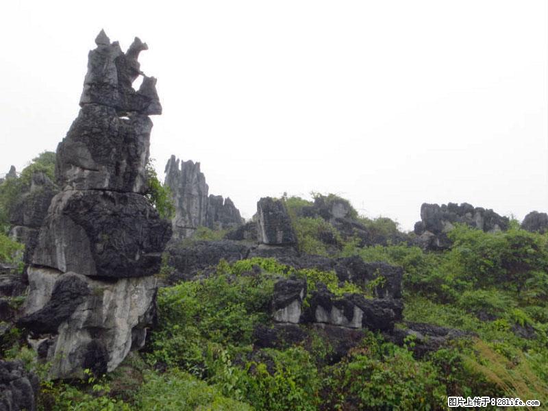 桂林旅游名城景点：灌阳文市石林 - 游山玩水 - 吕梁生活社区 - 吕梁28生活网 lvliang.28life.net