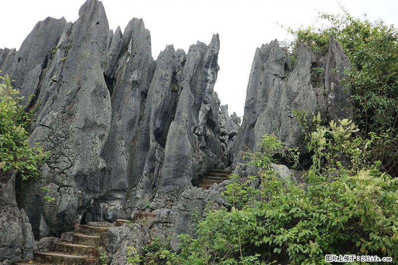 桂林旅游名城景点：灌阳文市石林 - 游山玩水 - 吕梁生活社区 - 吕梁28生活网 lvliang.28life.net