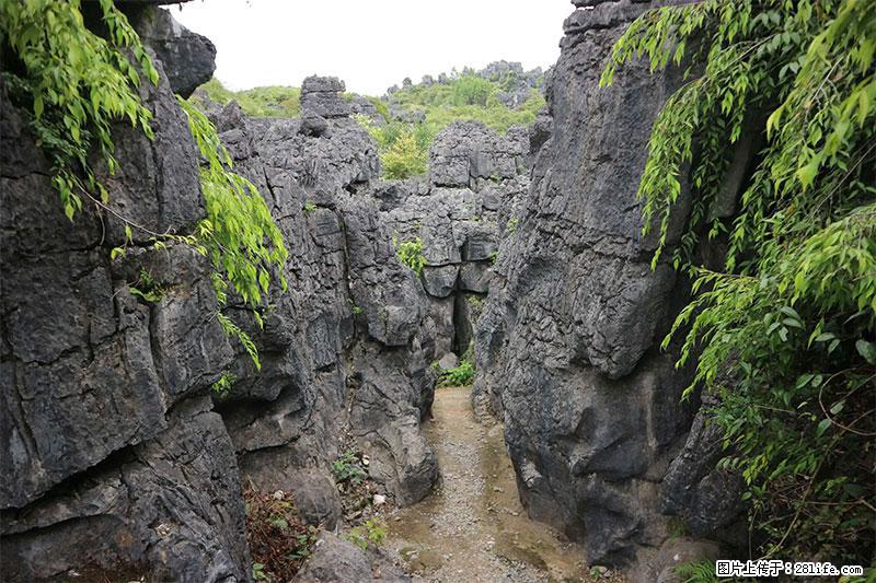 桂林旅游名城景点：灌阳文市石林 - 游山玩水 - 吕梁生活社区 - 吕梁28生活网 lvliang.28life.net