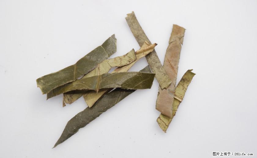 苦丁茶有哪些功效和作用 - 生活百科 - 吕梁生活社区 - 吕梁28生活网 lvliang.28life.net