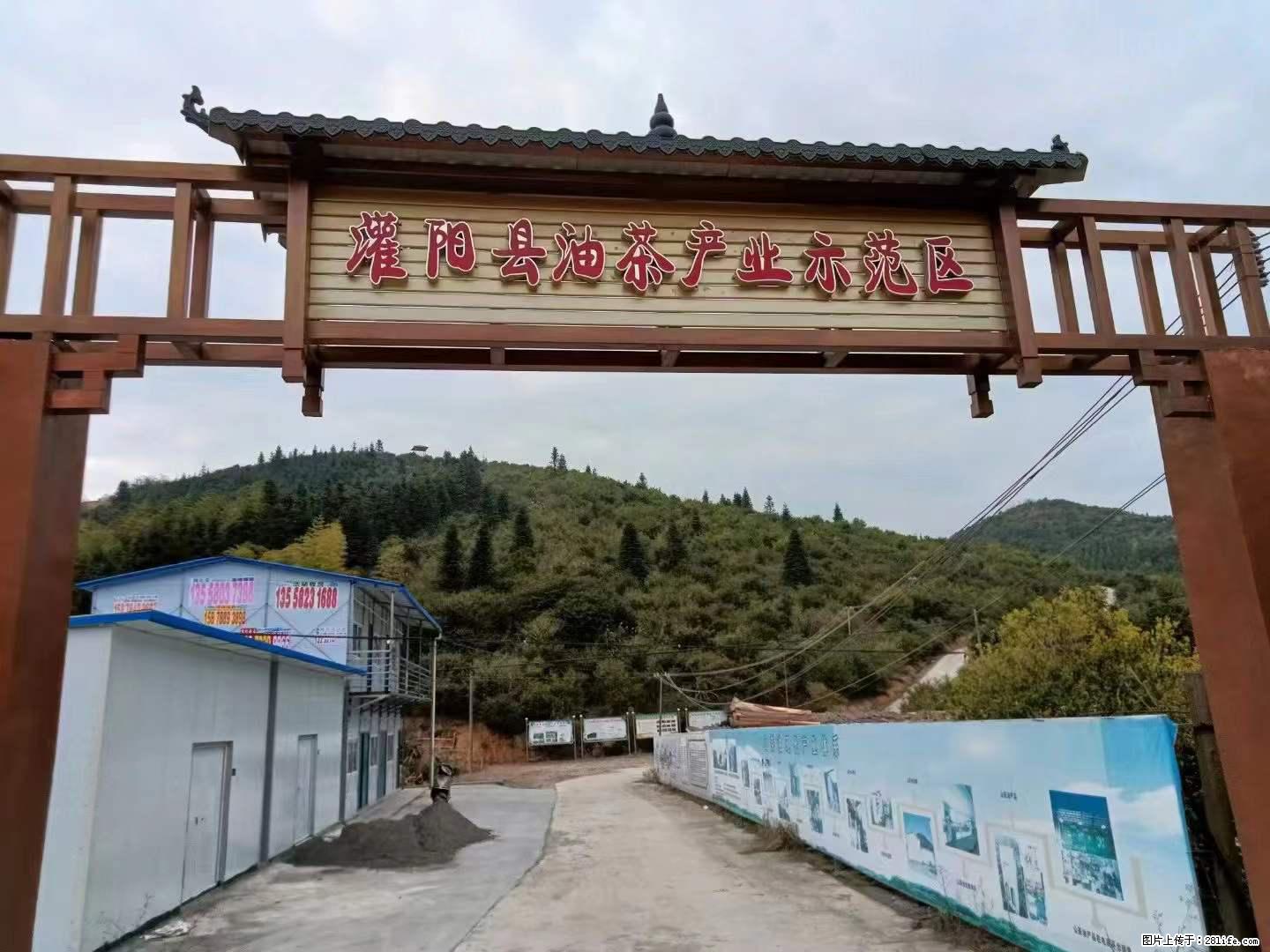【灌阳县油茶产业示范区】一个有着充实的精神生活的人，对待身外之物自会有一种淡泊的态度 - 美食天地 - 吕梁生活社区 - 吕梁28生活网 lvliang.28life.net