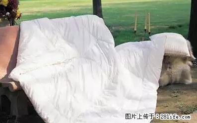 被子有异味？只要这样做，比晒太阳还强100倍！ - 家居生活 - 吕梁生活社区 - 吕梁28生活网 lvliang.28life.net