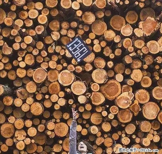 辞掉工作周游世界？现在他们在洗厕所…… - 游山玩水 - 吕梁生活社区 - 吕梁28生活网 lvliang.28life.net