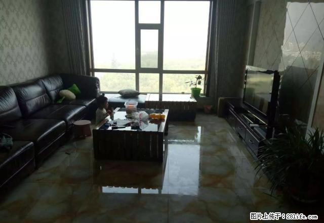 兴家房屋中介欢迎您！为您寻找合适、满意的房子。 - 房屋出租 - 房屋租售 - 吕梁分类信息 - 吕梁28生活网 lvliang.28life.net
