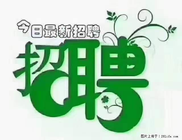 【招聘摄像师】待遇：试用期6000元/月，转正7000元/月+五险一金+餐补+节日福利+奖金 - 职场交流 - 吕梁生活社区 - 吕梁28生活网 lvliang.28life.net