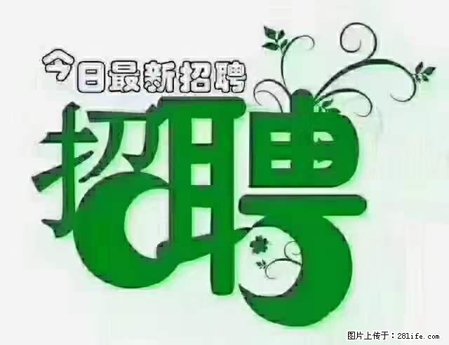 上海青浦区招仓管 - 职场交流 - 吕梁生活社区 - 吕梁28生活网 lvliang.28life.net