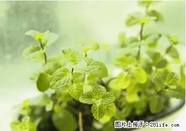 晕车、脚气、牙齿变黄、皮肤粗糙？学会这些三分钟搞定！ - 吕梁生活资讯 - 吕梁28生活网 lvliang.28life.net