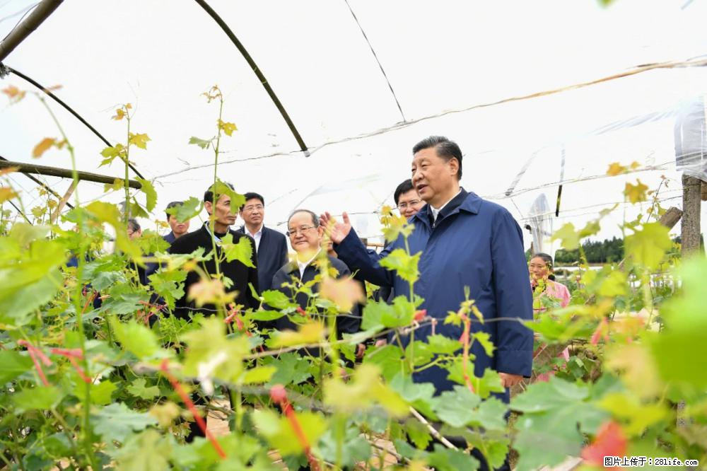习近平赴广西考察调研 - 吕梁生活资讯 - 吕梁28生活网 lvliang.28life.net