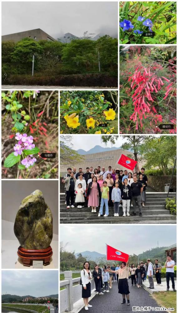 “粤灌文化 美好生活”油茶文化主题活动在广东深圳成功举办 - 吕梁生活资讯 - 吕梁28生活网 lvliang.28life.net