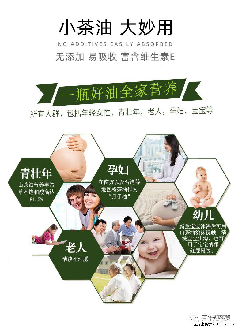 世界没有真相，只有认知，最好的食用油是中国的山茶油！ - 吕梁生活资讯 - 吕梁28生活网 lvliang.28life.net