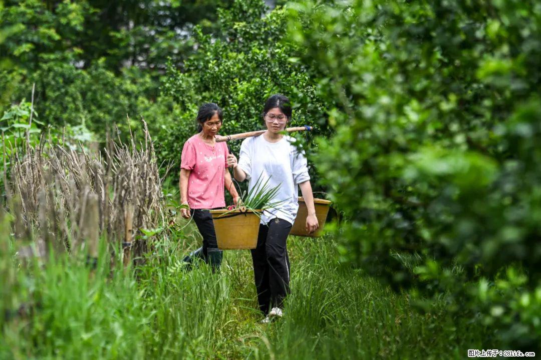 全网追的“扁担女孩”，找了一份暑假工，时薪12元 - 吕梁生活资讯 - 吕梁28生活网 lvliang.28life.net