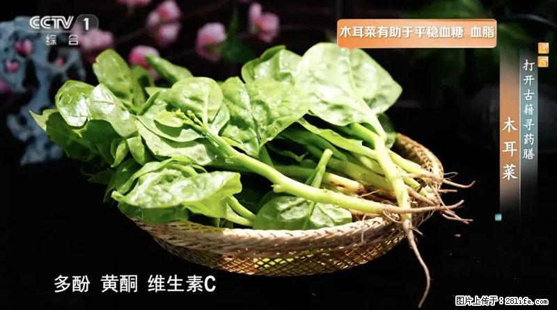 比牛奶补钙还厉害！凉血解毒、稳血糖...这菜冬天必吃，很多人却当草 - 吕梁生活资讯 - 吕梁28生活网 lvliang.28life.net
