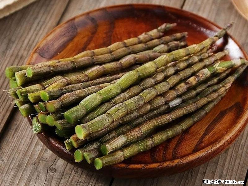 铁皮石斛的作用与功能主治 - 吕梁生活资讯 - 吕梁28生活网 lvliang.28life.net